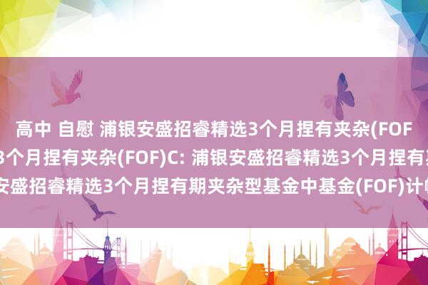 高中 自慰 浦银安盛招睿精选3个月捏有夹杂(FOF)A,浦银安盛招睿精选3个月捏有夹杂(FOF)C: 浦银安盛招睿精选3个月捏有期夹杂型基金中基金(FOF)计帐证据