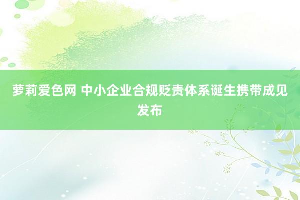 萝莉爱色网 中小企业合规贬责体系诞生携带成见发布