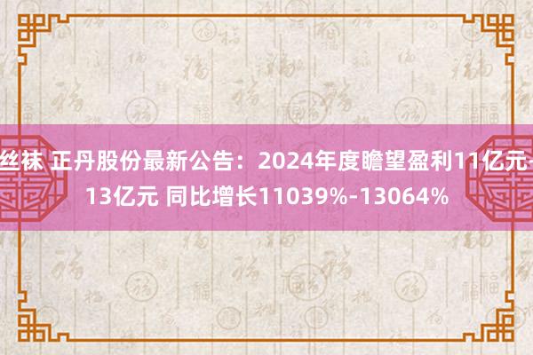 丝袜 正丹股份最新公告：2024年度瞻望盈利11亿元-13亿元 同比增长11039%-13064%
