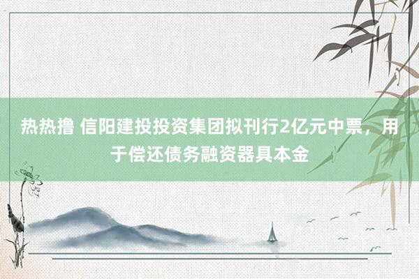 热热撸 信阳建投投资集团拟刊行2亿元中票，用于偿还债务融资器具本金