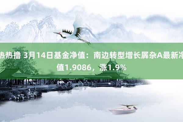 热热撸 3月14日基金净值：南边转型增长羼杂A最新净值1.9086，涨1.9%