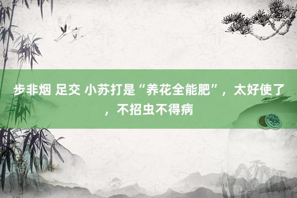 步非烟 足交 小苏打是“养花全能肥”，太好使了，不招虫不得病